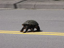 This photo was selected Photo of the Day on June 1, 2009 on the Fox 25 morning weather forecast.